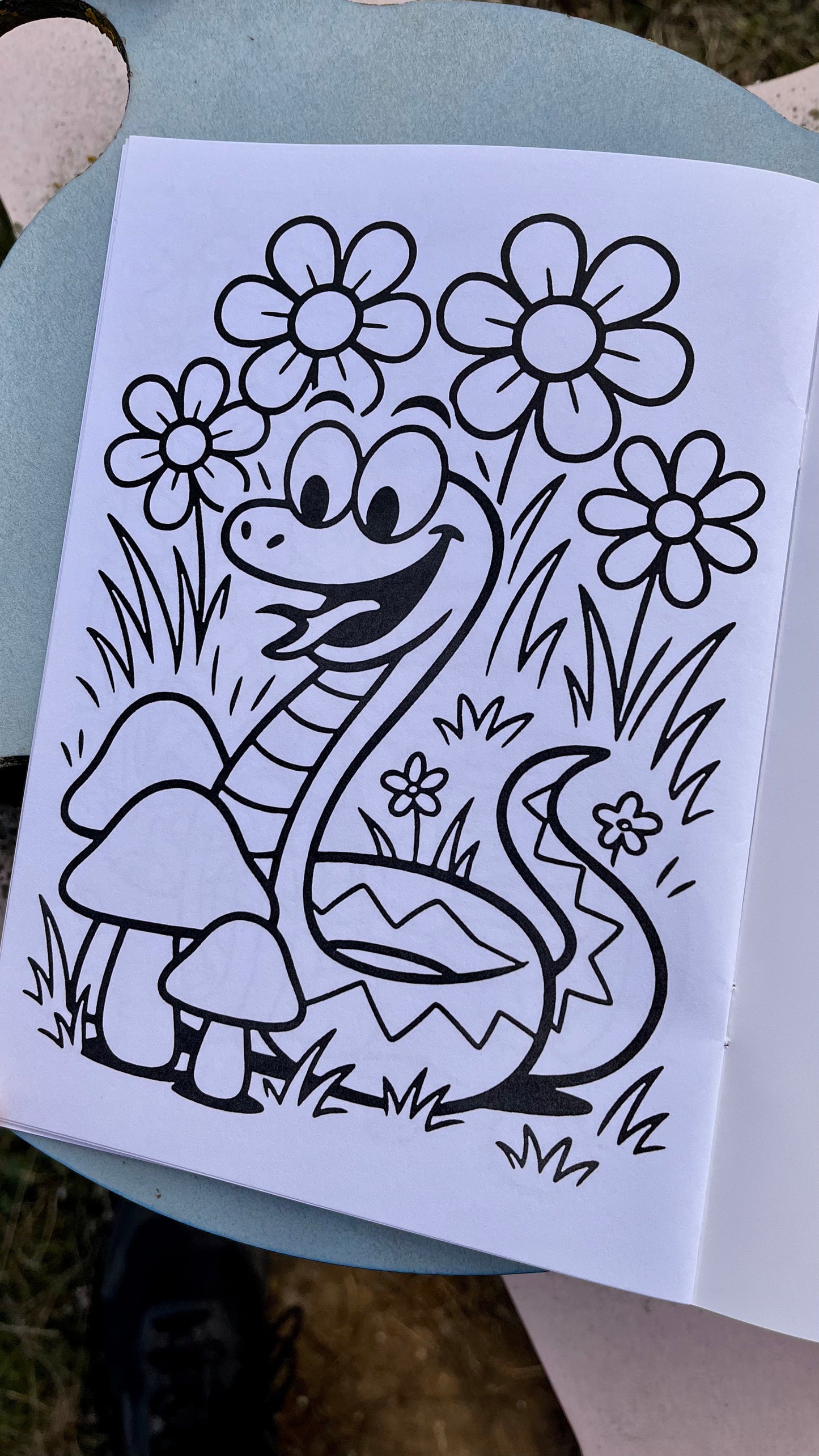 Pack infantil RAPAZ – Camiseta de Raposa + Libro de colorear