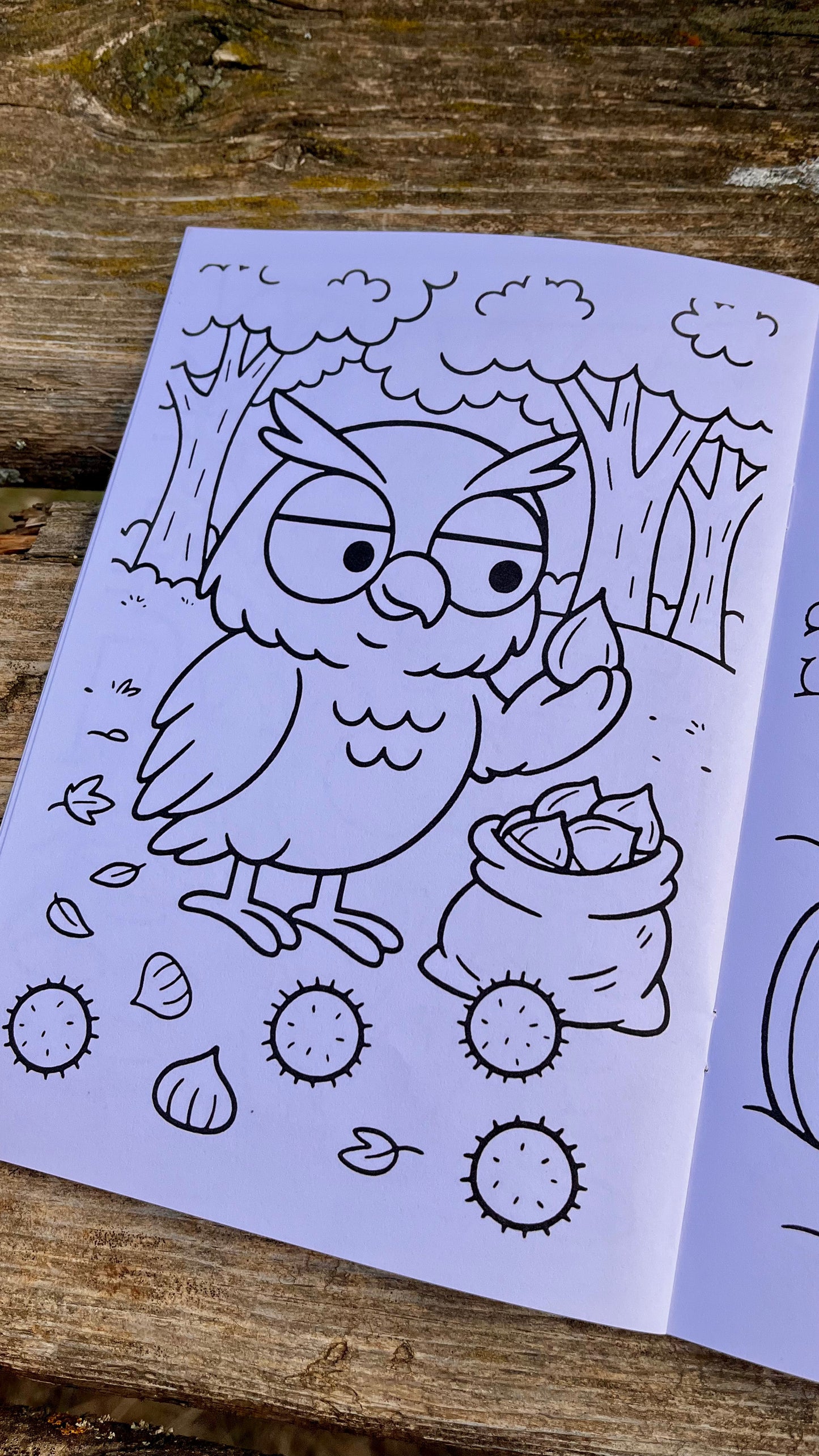 Pack infantil RAPAZ – Camiseta de Raposa + Libro de colorear